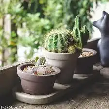 Khám phá thế giới mẹ và bé tại Nha Trang cùng những trải nghiệm thú vị!
