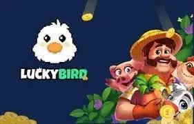 bk8 singapore login